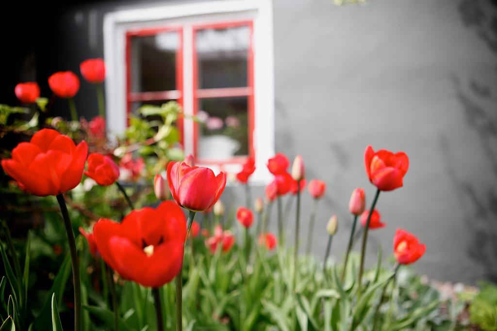 Vaxholms Bed & Breakfast Bagian luar foto